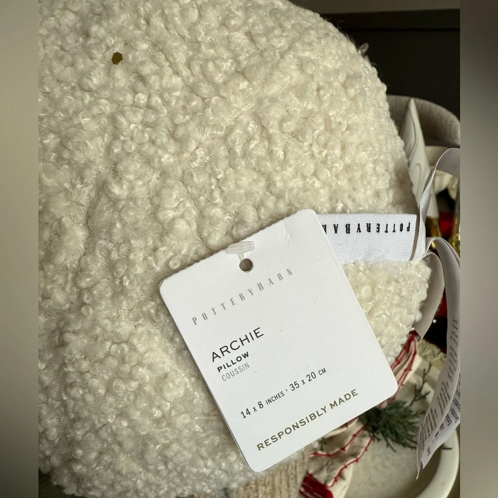 Pottery Barn Archie Pillow
